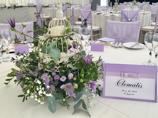 Copyright The Creative Venue